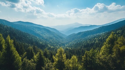 Fototapeta premium Top view of a forested mountain range with a wide expanse of sky above, creating a perfect background with copy space for text or logos.