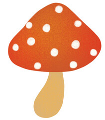 fly agaric mushroom