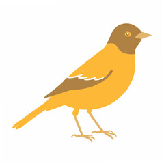 A striking vector artwork of a Baltimore Oriole bird, ideal for bird lovers, nature enthusiasts, and graphic designers looking for colorful and nature-inspired digital art.