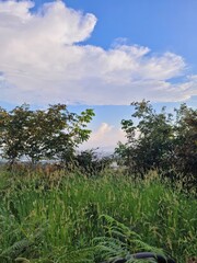 clouds over the lake