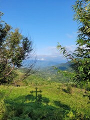 landscape with trees