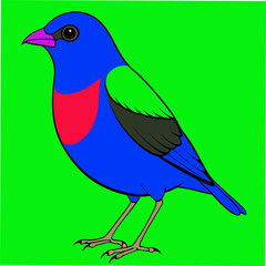 A beautiful vector artwork of the Blue Dacnis bird, perfect for bird watchers, nature lovers, and designers seeking vivid, tropical-themed digital art.