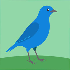 A beautiful vector artwork of the Blue Dacnis bird, perfect for bird watchers, nature lovers, and designers seeking vivid, tropical-themed digital art.