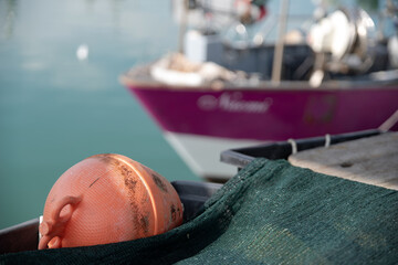 Boa da pescatore