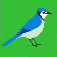 A stunning vector artwork of a Blue Jay bird, ideal for bird enthusiasts, nature lovers, and graphic designers looking for vibrant and detailed wildlife-inspired digital art.