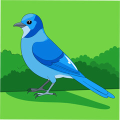 Obraz premium A stunning vector artwork of a Blue Jay bird, ideal for bird enthusiasts, nature lovers, and graphic designers looking for vibrant and detailed wildlife-inspired digital art.