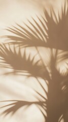 Obraz premium Palm tree shadow on wall