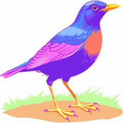 A vibrant vector artwork of the Blue Whistling Thrush bird, perfect for nature enthusiasts, bird watchers, and graphic designers seeking detailed and colorful wildlife-themed digital art.