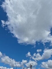 Obraz premium White cumulus clouds in the summer sky background