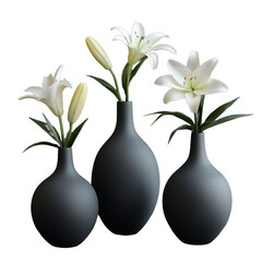 Elegant black vases with blooming white lilies on a transparent background, showcasing minimalist style and natural beauty in home decor