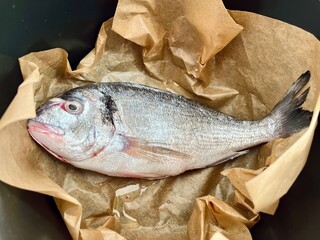 close up on brown parchment paper lies a whole raw Dorado fish cleaned of entrails in a black multicooker bowl. top view. dinner