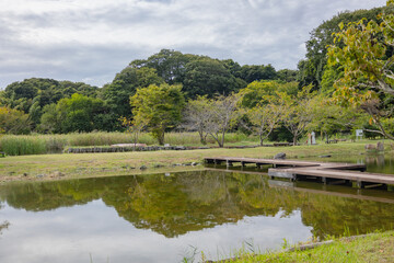 赤羽緑地公園　茨城