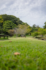 赤羽緑地公園　茨城