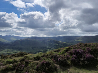 Green hills and mountains in Ireland, summer landscape