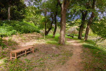 赤羽緑地公園　茨城