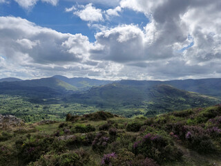Green hills and mountains in Ireland, summer landscape