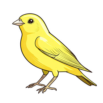 Canary clip art preview