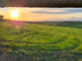 Spiderweb in the rays of sunset close view background