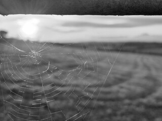 Empty spiderweb in the rays of sunset close view black and white monochrome photo background