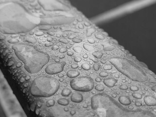 Water drops on a metal surface close view, raindrops on a fence black and white monochrome grayscale photo