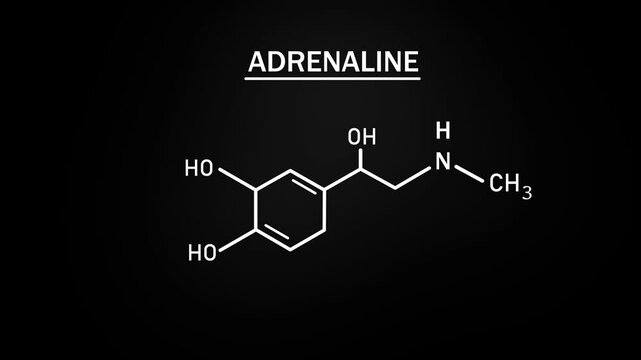 Adrenaline or Epinephrine Molecular Structure Symbol Sketch or Drawing Animation on Black Background and Green Screen