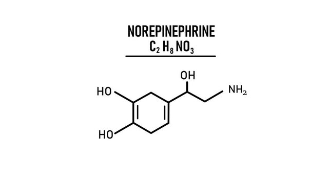 Norepinephrine or NE also called noradrenaline or NA or noradrenalin Molecular Structure Symbol Neon Animation on black background