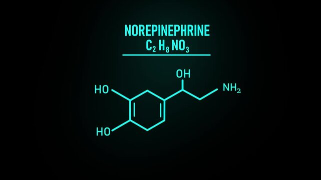 Norepinephrine or NE also called noradrenaline or NA or noradrenalin Molecular Structure Symbol Neon Animation on black background