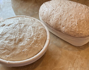 Sourdough breads, whole wheat and white before baking in proofing baskets