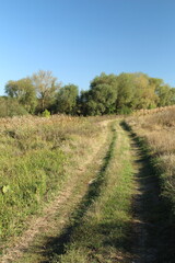 A dirt path through a field