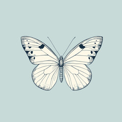 vector Butterfly 