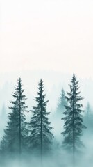 Obraz premium Tall evergreen trees rise through a misty forest landscape, creating a serene atmosphere.