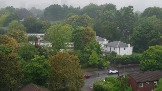 Wet autumn road in leafy UK suburb.
Bristol Road in Birmingham on a damp, misty day.