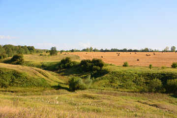 Obraz premium a field with round haybales on the hill and a blue sky in the background