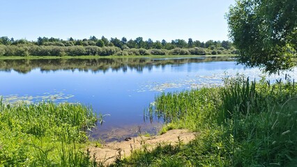 Shrubs, willows and other trees grow on the grassy banks of the river. Their branches overhang the lilies growing in the water. The trees and the blue sky are reflected in the calm water Sunny morning