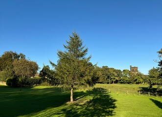 A tall tree stands in the middle of a lush green field under a clear blue sky. Shadows from the tree stretch across the bright, well-maintained grass near, Old Coach Road, Lightcliffe, UK