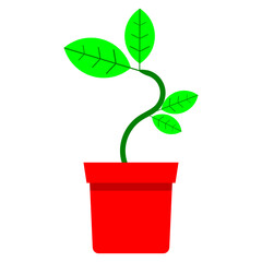 vector ornamental plant. potted plants. cute plant. flat design. simple design. green plant in a red pot. room decoration plants