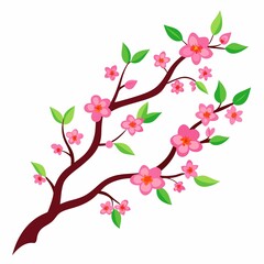 cherry blossom branch