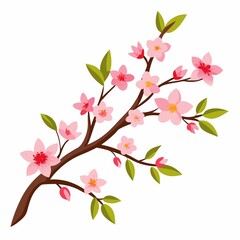 Fototapeta premium cherry blossom branch