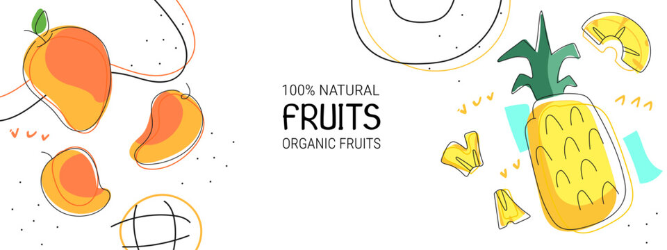 Color banner with different fruits , modern design for web and advertising. Hand drawn illustration design template with mango and pineapple in trendy doodle art style. Organic, natural