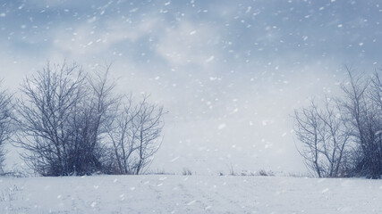 winter landscape with bare trees in a field during snowfall
