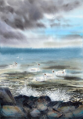 Hand-painted watercolor swans in the sea. Watercolor swans. Watercolor sea landscape.