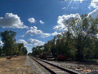 A serene view of a railway track with lush trees and scattered logs under a bright blue sky with fluffy clouds during midday