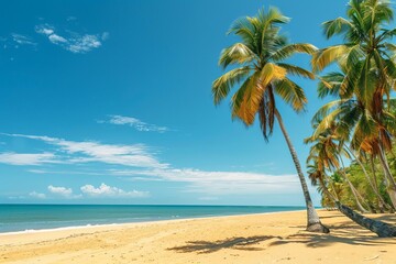 Fototapeta premium A tropical beach with golden sand and palm trees, represents a summer vacation paradise, with copy space