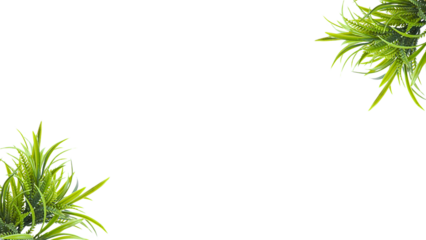 Green Grass Border, Frame For Text or Editing. Fresh natural greenery leaves, branches, forest fern, herbs botanical border, frame, text space. Poster banner, wedding invite, greeting card. PNG File.