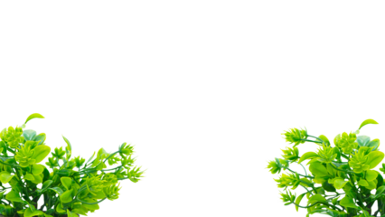 Green Grass Border, Frame For Text or Editing. Fresh natural greenery leaves, branches, forest fern, herbs botanical border, frame, text space. Poster banner, wedding invite, greeting card. PNG File.