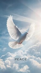 Fototapeta premium White Dove Flying with the Word 