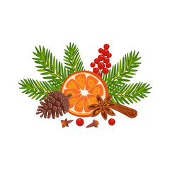 Christmas composition. Conifer branches with orange vector illustration. Pine cone, spruce, fir tree branches, cinnamon and rowan. Stock winter nature clipart isolated on white.