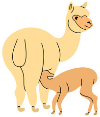 Alpaca with baby, baby alpaca sucking milk. Llama, animal, pet and mammal, illustration