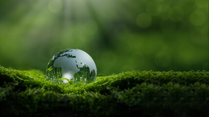 Crystal ball on moss in green forest - environmental concept, ecology and sustainable environment...