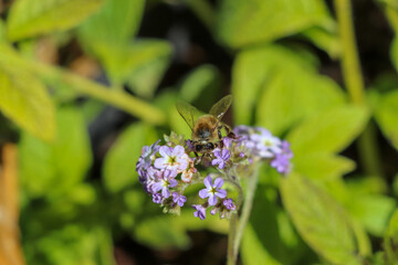 Parc des 5 sens - Yvoire